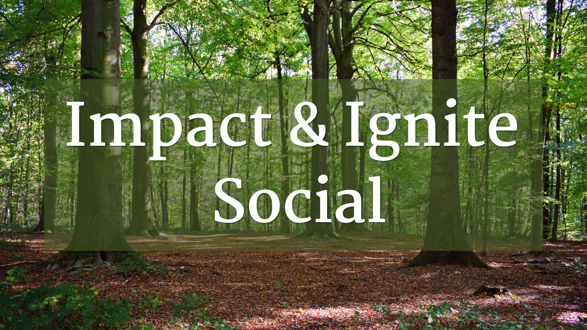 Impact Ignight social